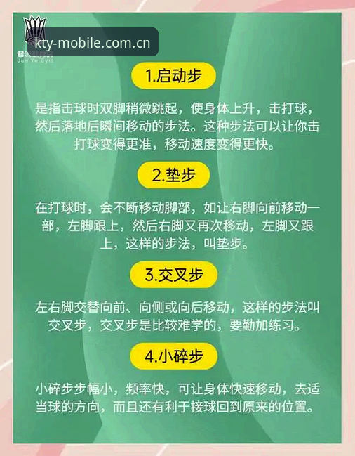 K体育使用教程详解：从入门到精通的全流程指南